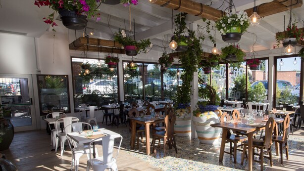 An indoor dining area with wooden tables and chairs, hanging plants, and large windows offering a view of the street. - Hotel Villa Glicini (San Secondo di Pinerolo)