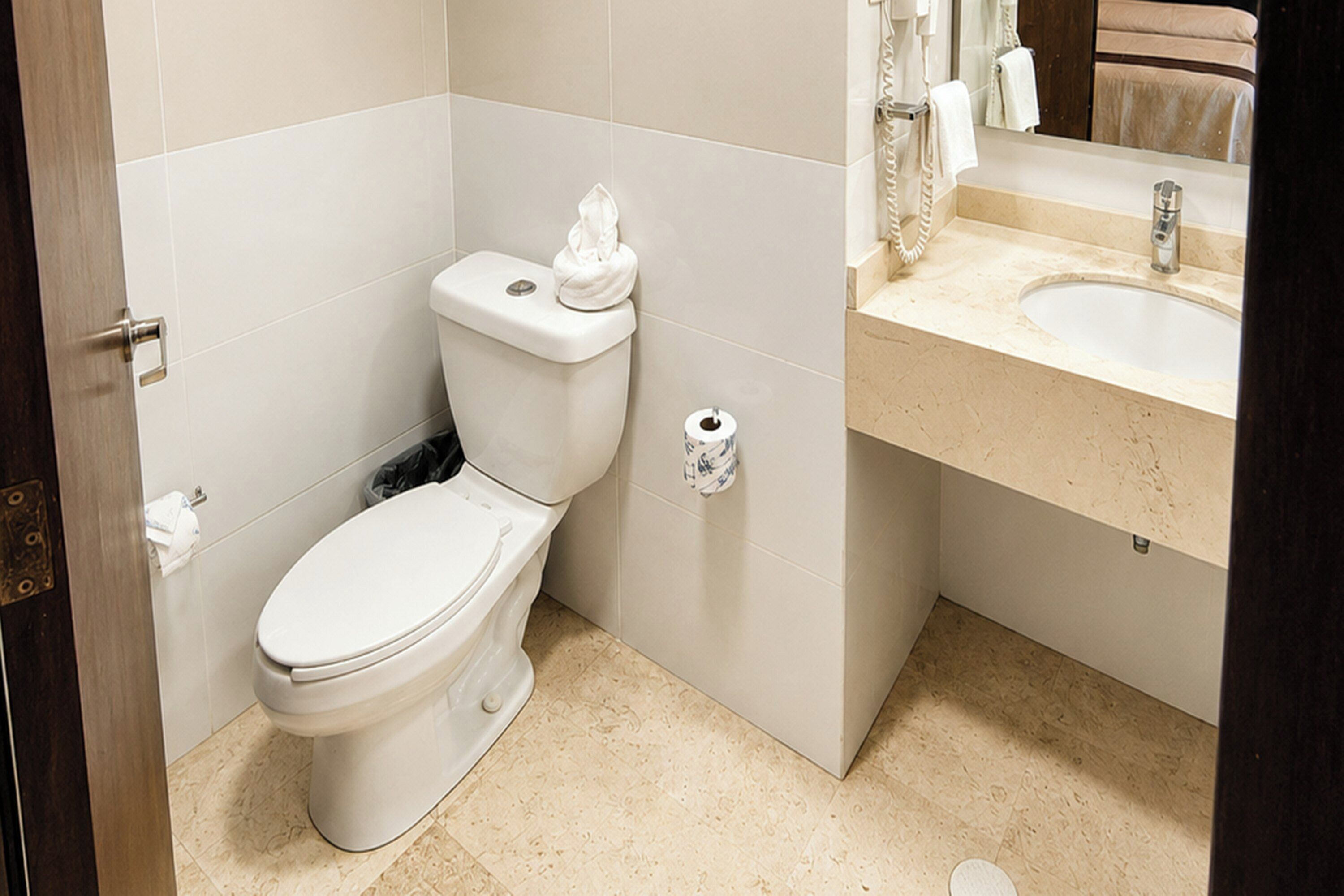 Une salle de bain avec des toilettes, un lavabo et un miroir.