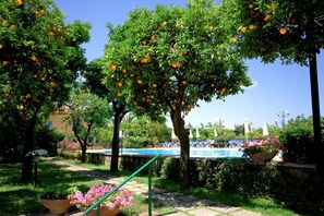 Un área junto a la piscina con tumbonas y naranjos.