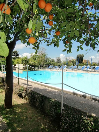 Outdoor pool, sun loungers