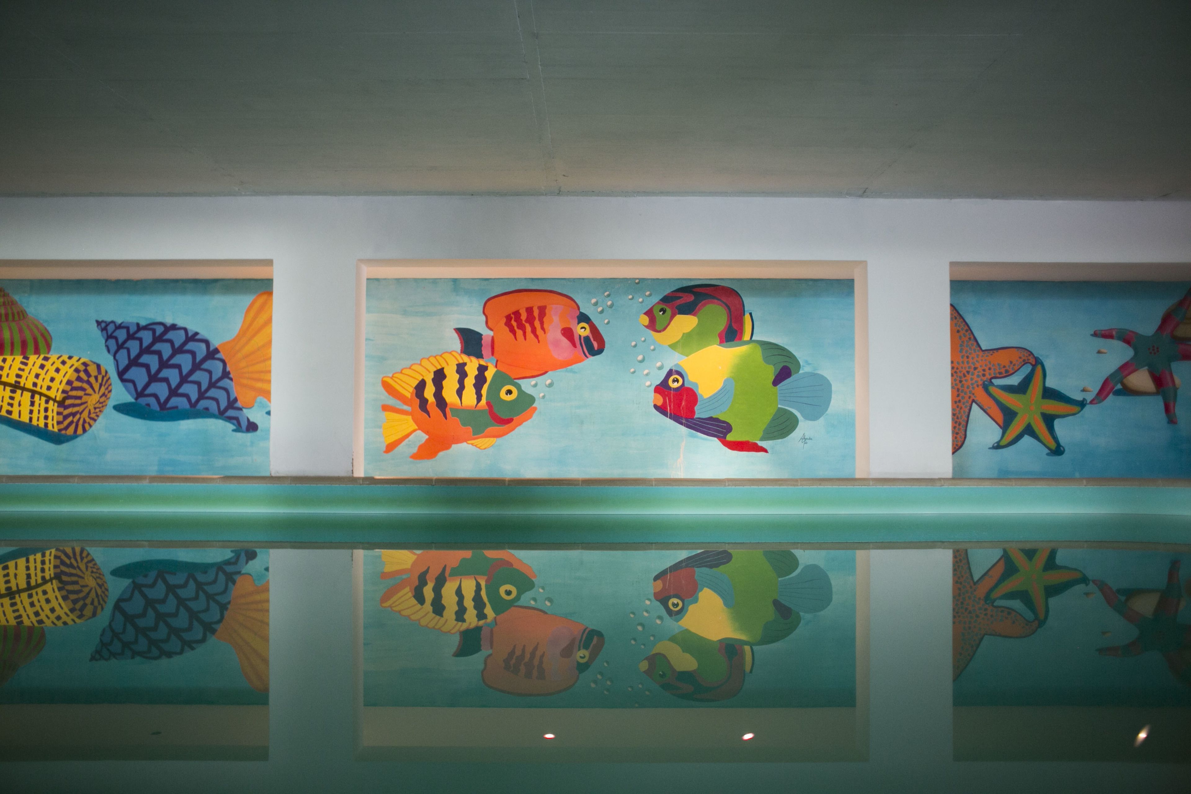 A series of framed fish paintings on a wall.