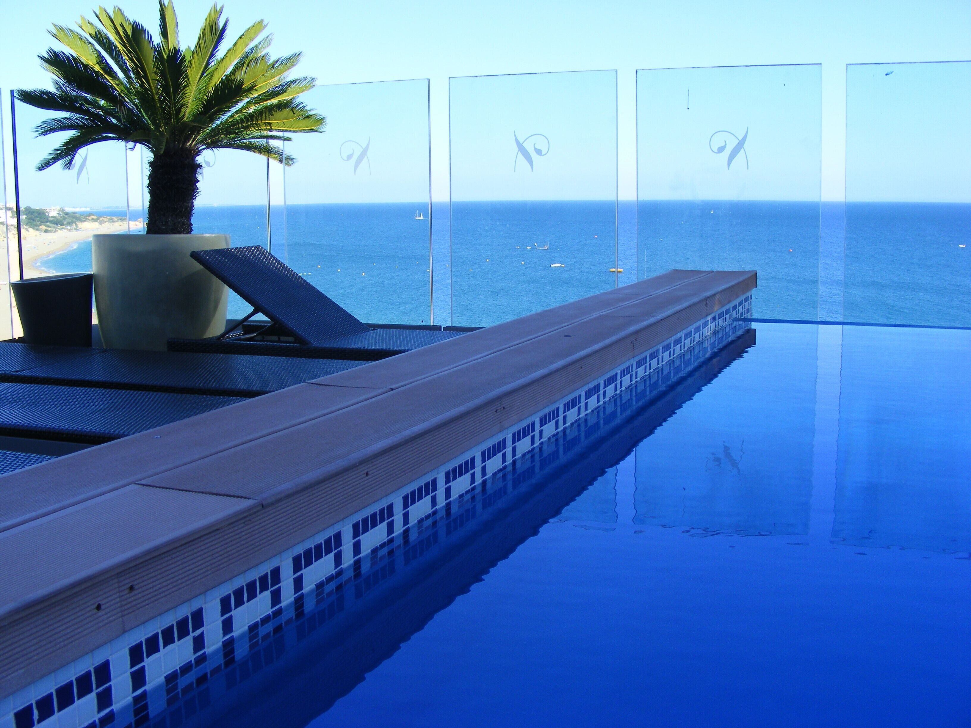 Una piscina infinita con vistas despejadas al océano y una palmera.