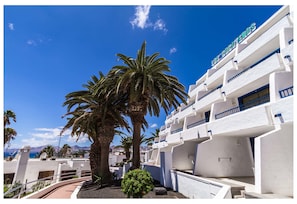 A white building with balconies and a palm tree in front.