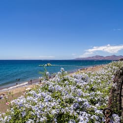 Ubicación cercana a la playa