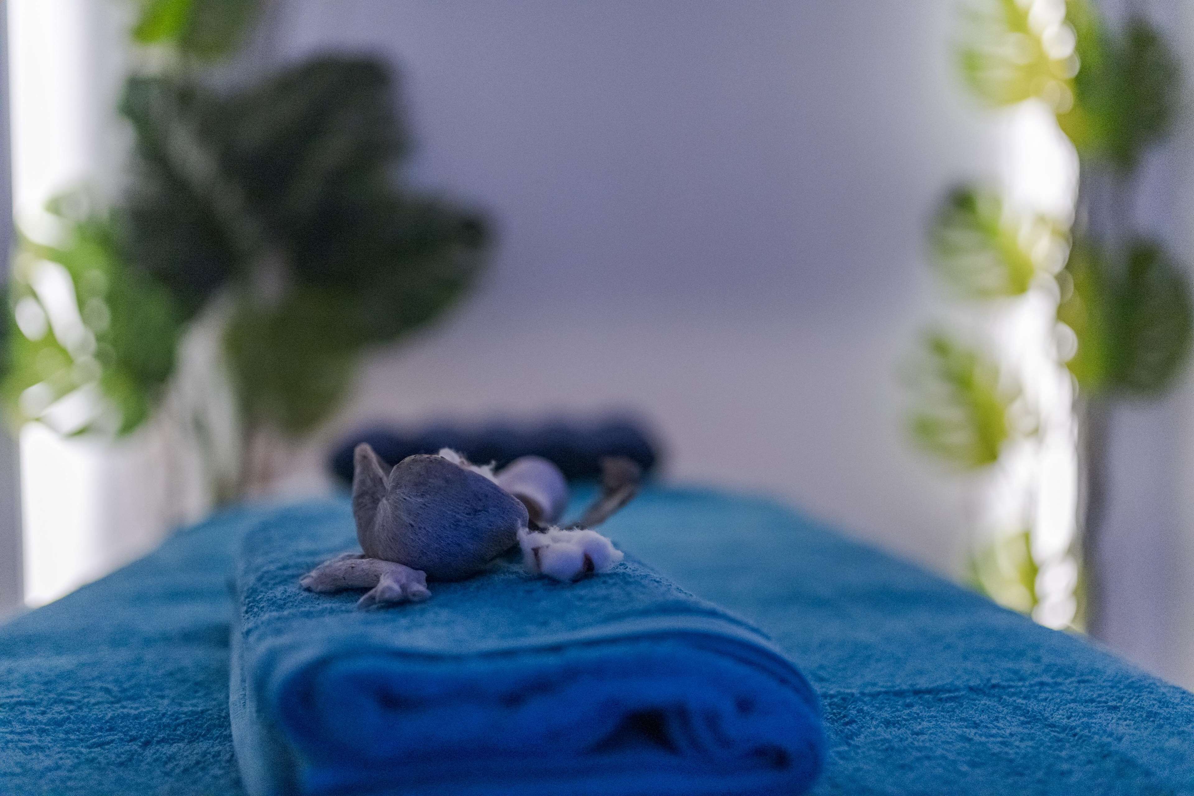 Une serviette ornée d’une petite figurine d’animal.