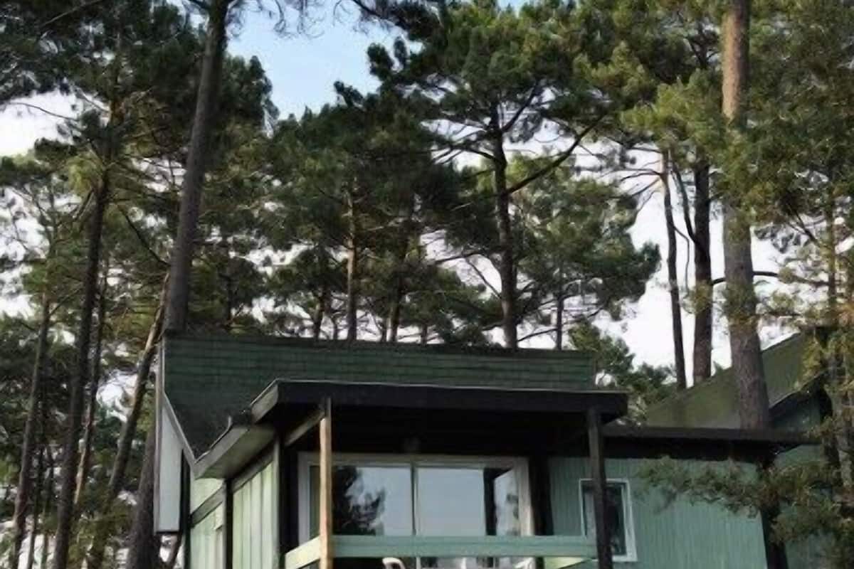 A cabin with a deck, surrounded by tall pine trees.
