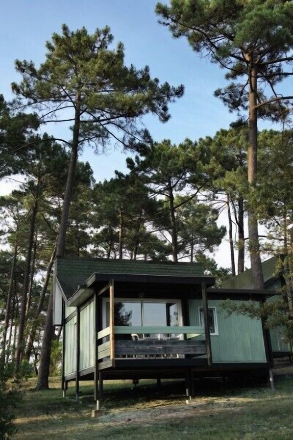Une cabane dotée d’une terrasse, entourée de grands pins.