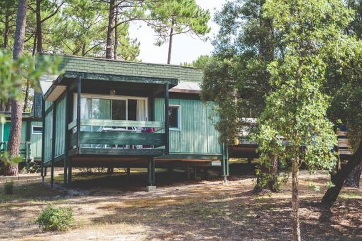 Une cabane verte avec un porche, entourée d’arbres.