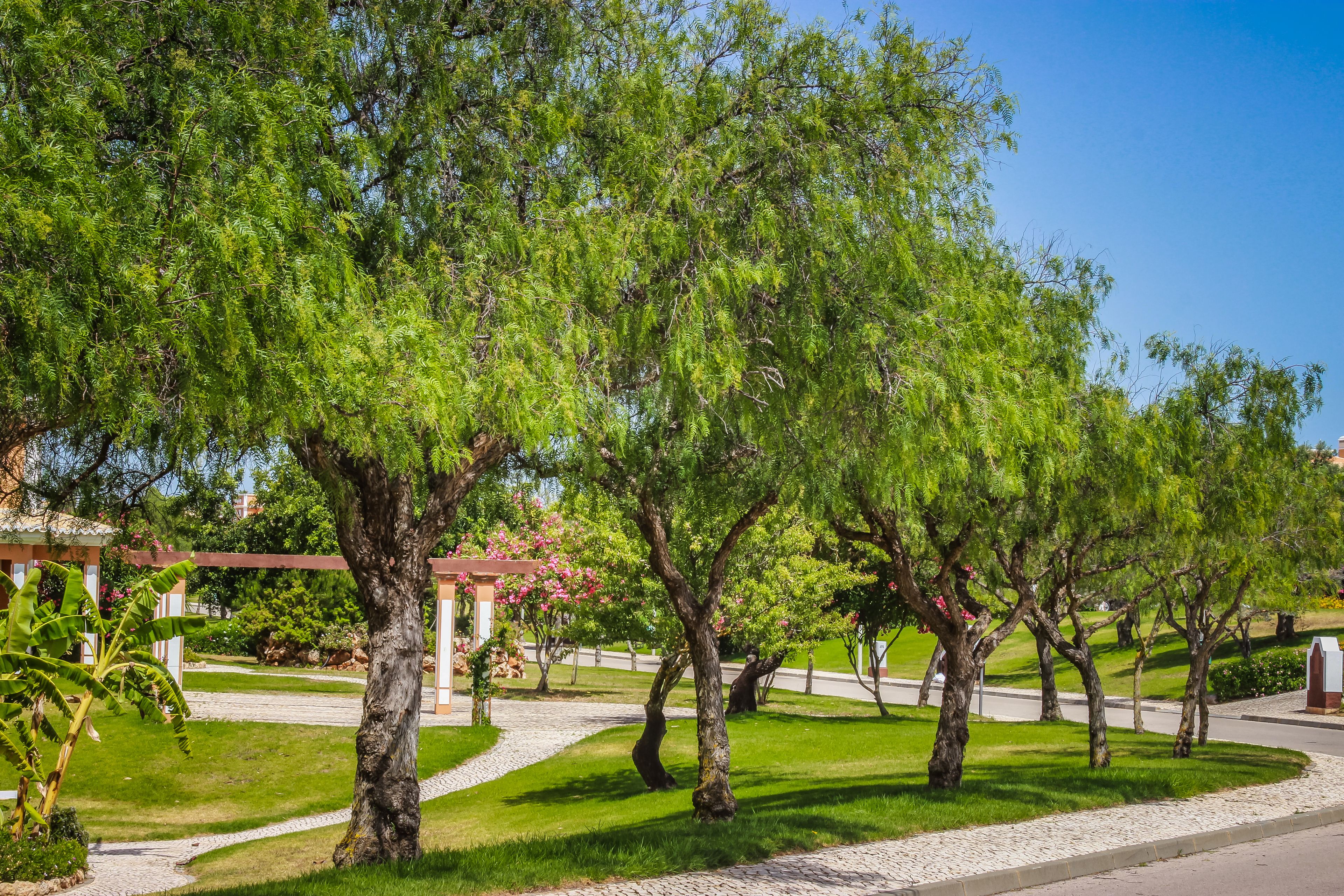 Foto - Colina da Lapa & Villas