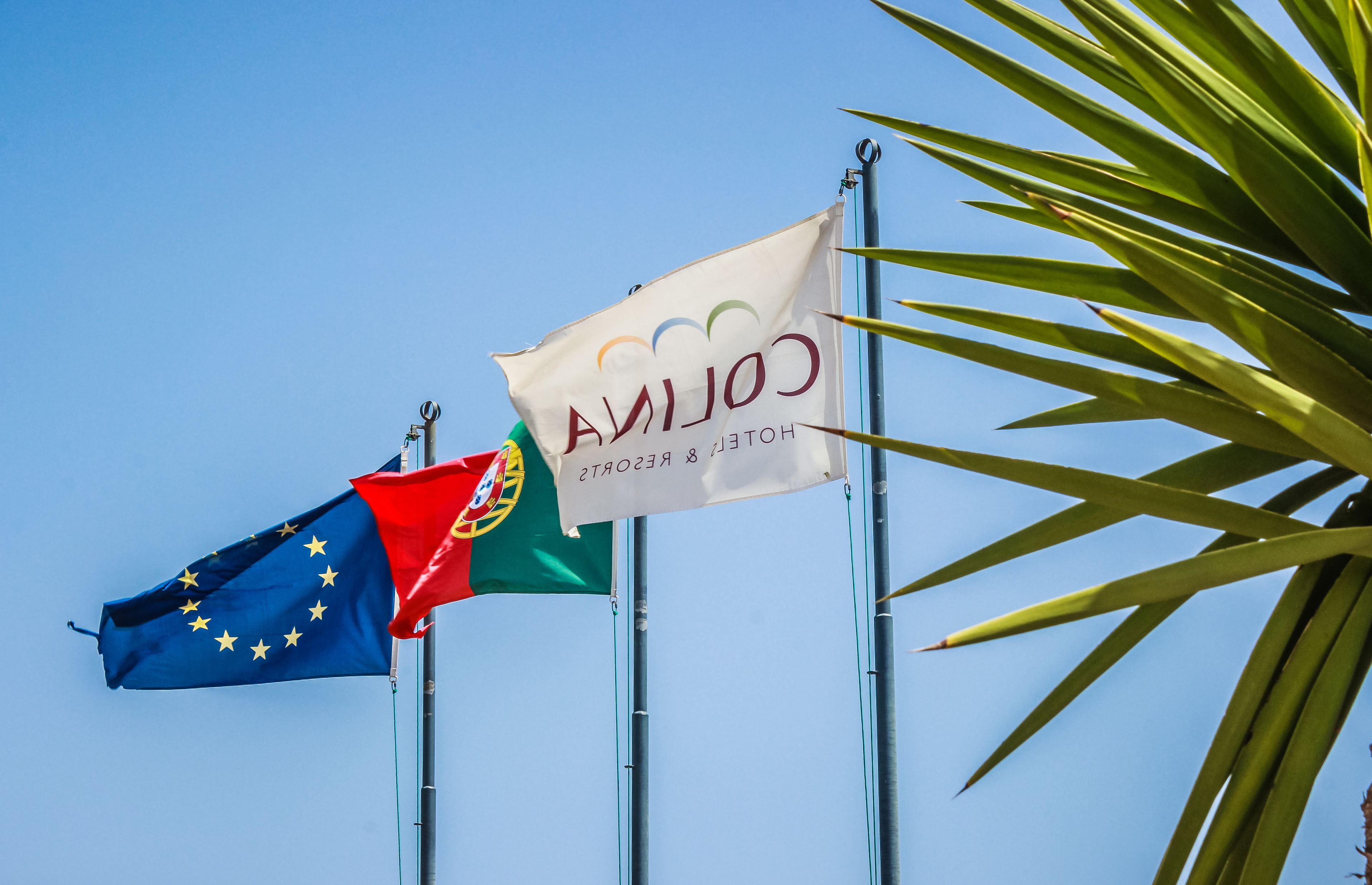 Foto - Colina da Lapa & Villas