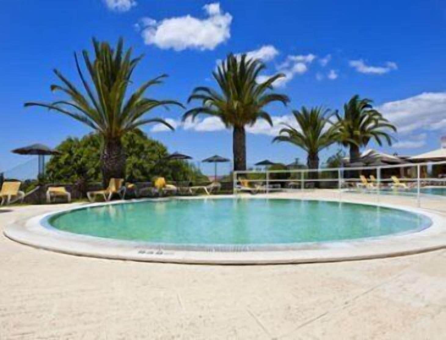 Area piscina con sedie a sdraio e palme.