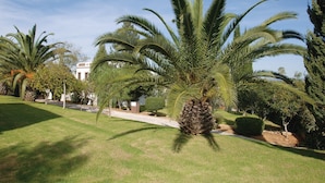 Un jardín bien cuidado con palmeras y un sendero que lleva a un edificio.