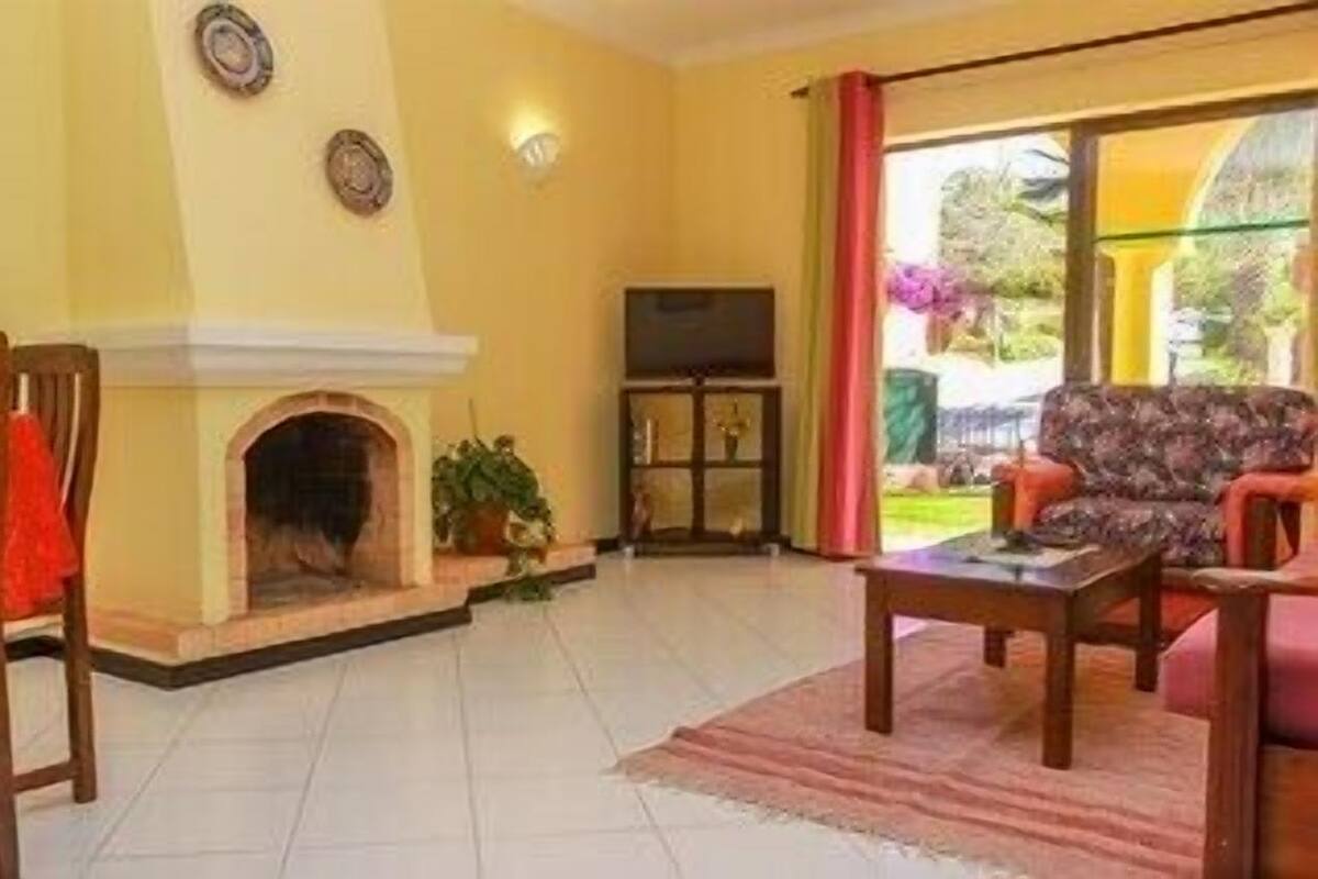 Un salon avec une cheminée, un canapé, une table basse et un téléviseur.