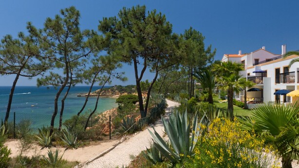 Un hôtel situé sur la côte, doté d’un sentier pavé, de pins et offrant une vue sur la mer.