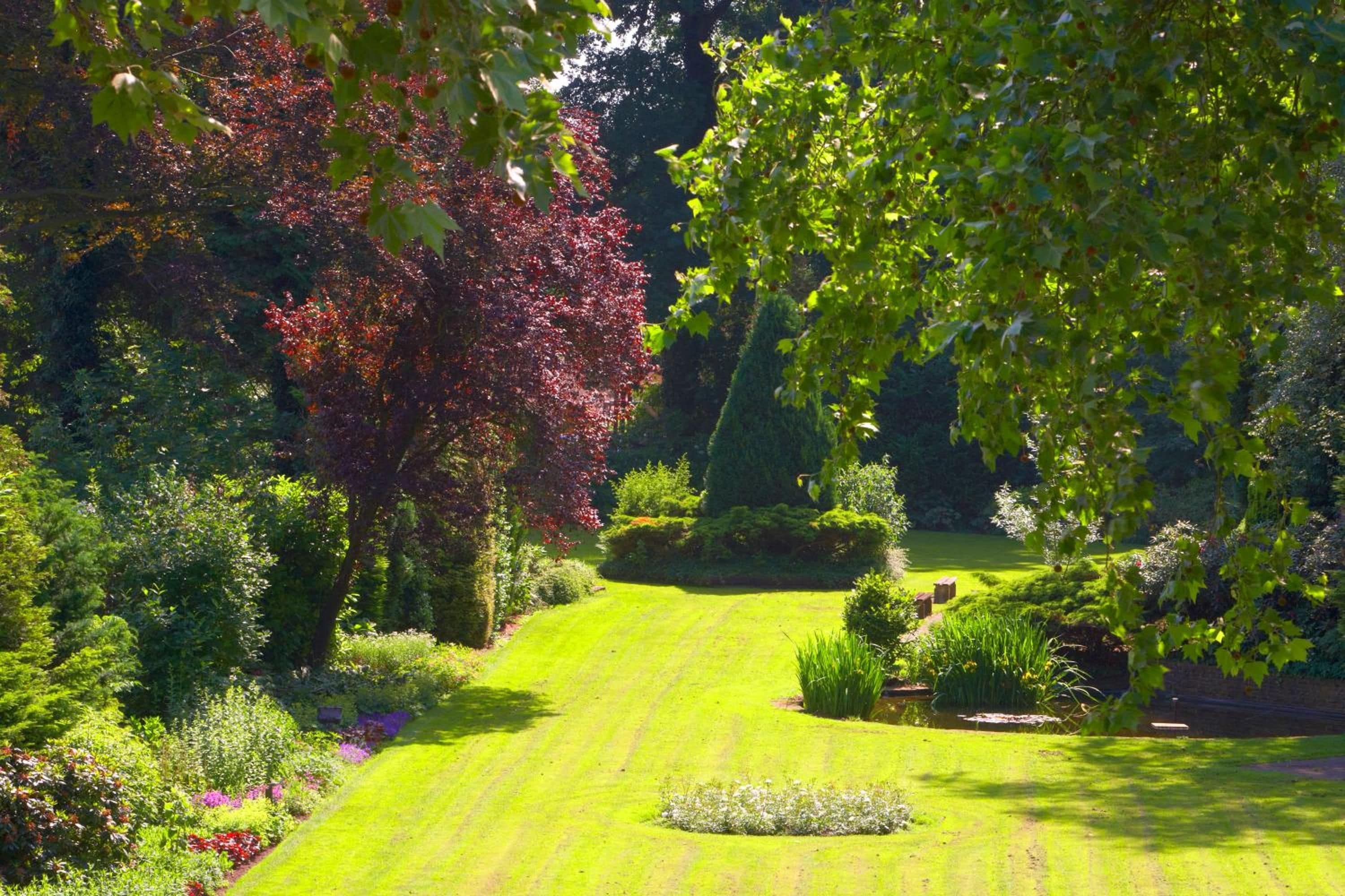 Un giardino curato con diverse piante e un prato ben tagliato.