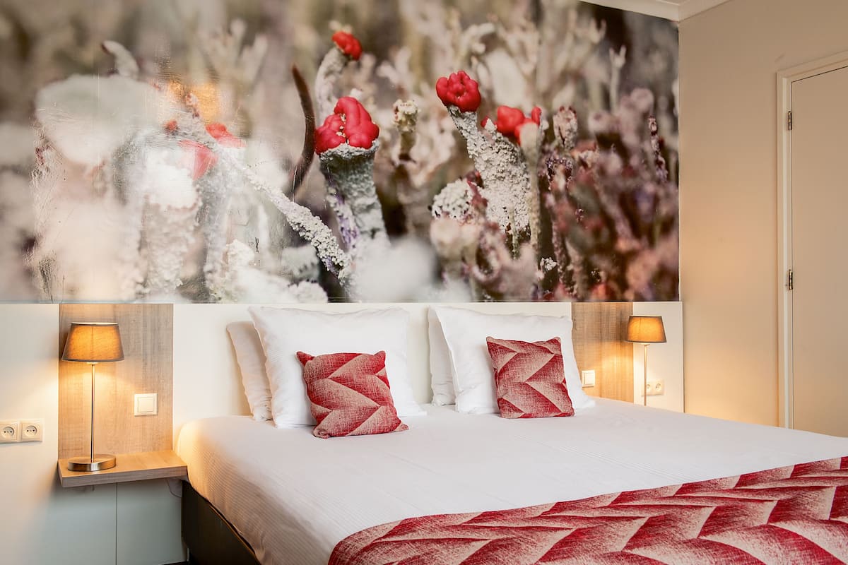 Premium bedding, down comforters, in-room safe, desk