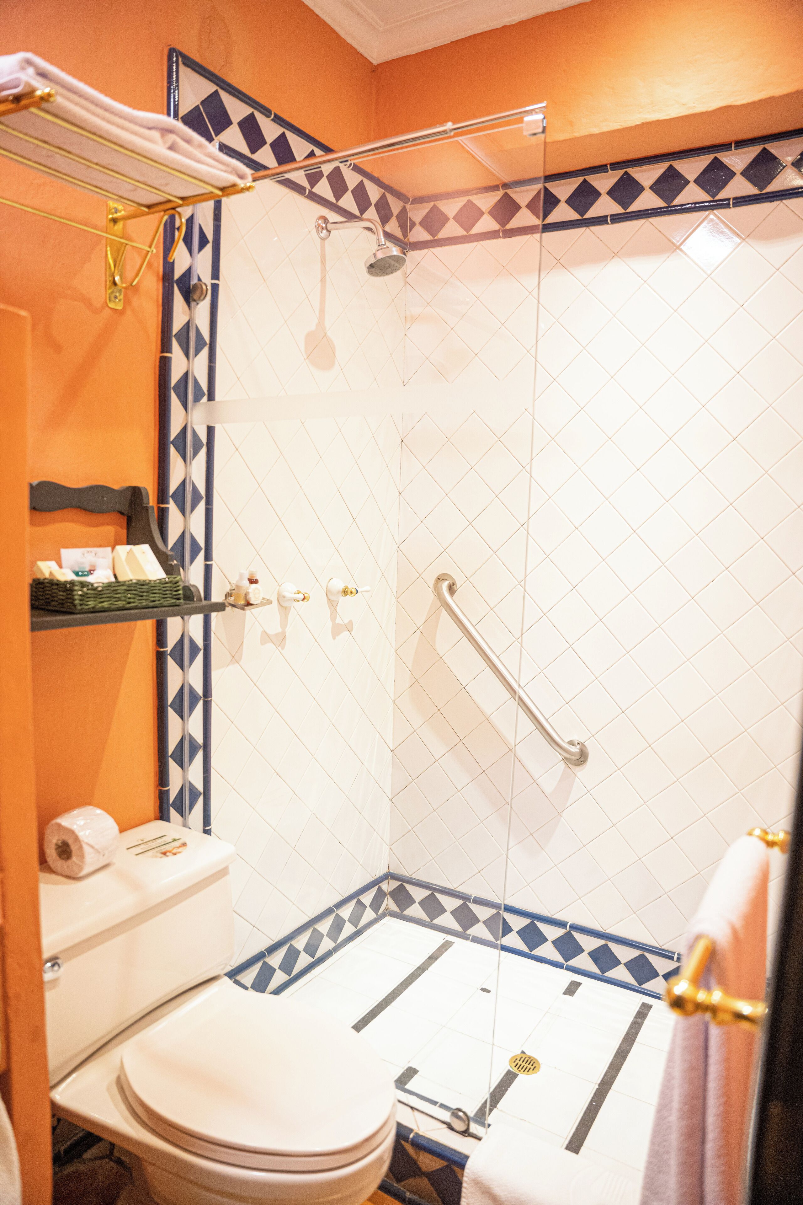 A bathroom with a shower, toilet, and a towel rack.