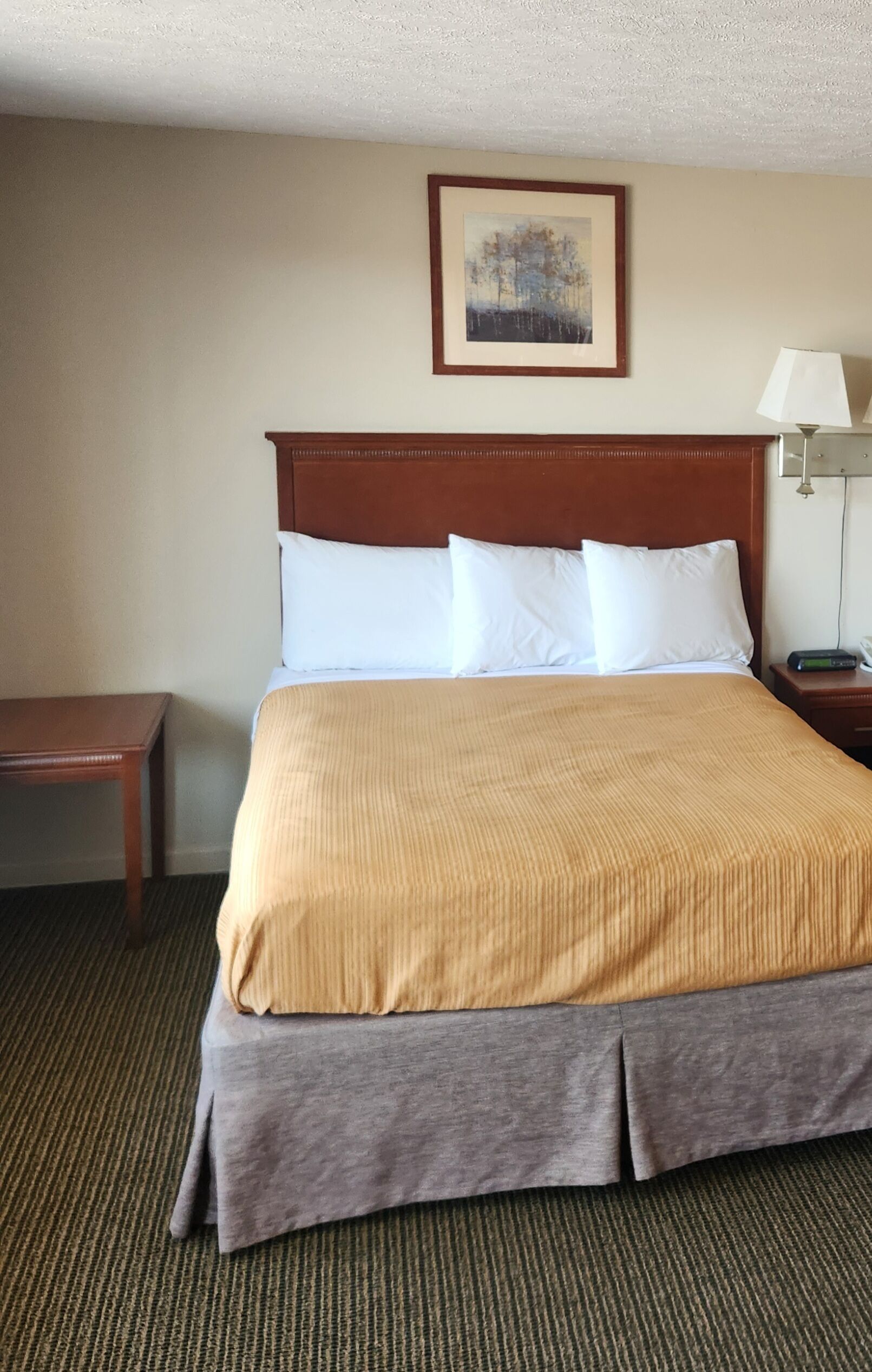 Ein Hotelzimmer mit einem großen Bett, einem hölzernen Kopfteil, einem Nachttisch mit Lampe und einem gerahmten Bild an der Wand.