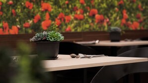 A restaurant interior with a dining table, chairs, and a potted plant.
