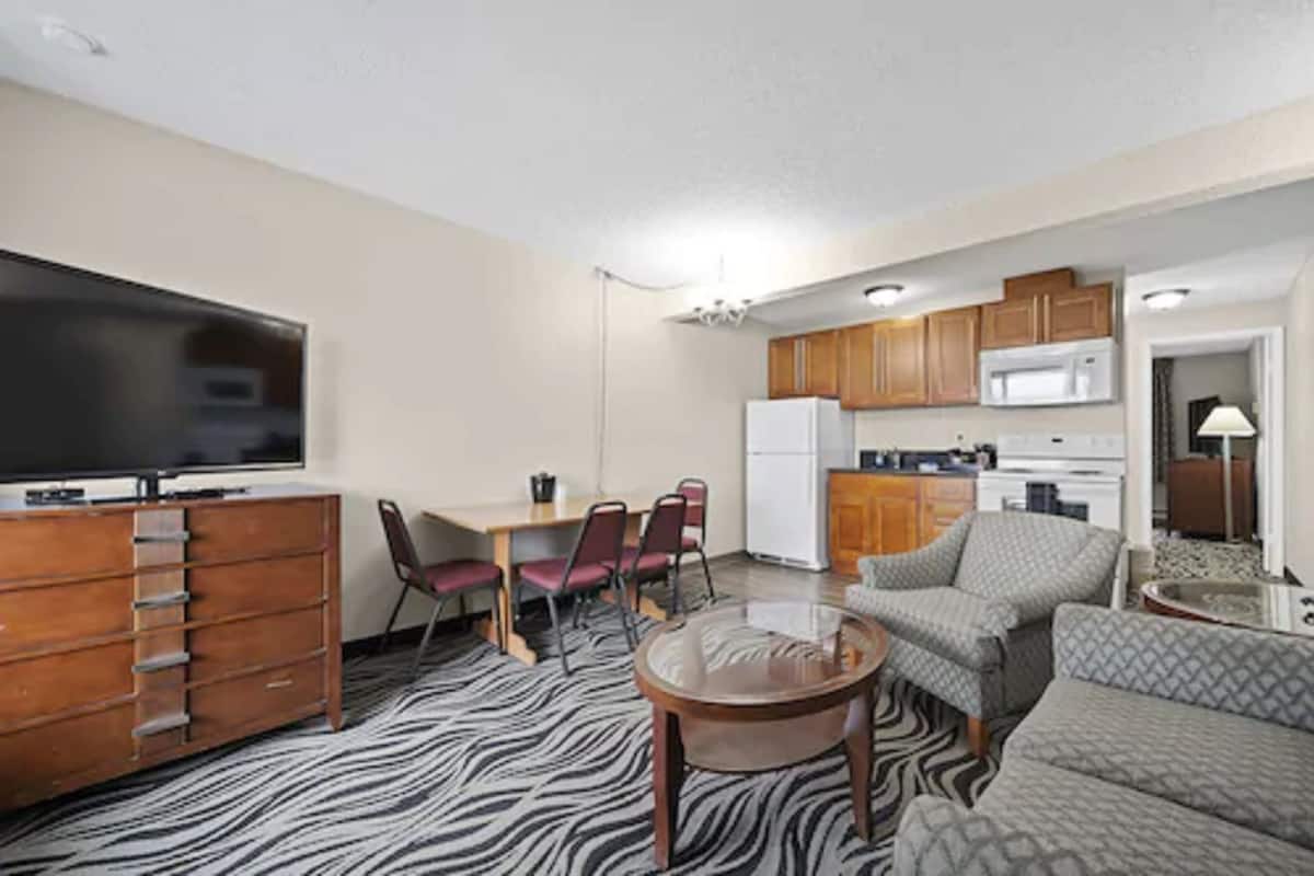 A compact living space with a flat-screen TV, a dining area with chairs, a sofa, a kitchen with cabinets and appliances, and a zebra-patterned carpet.