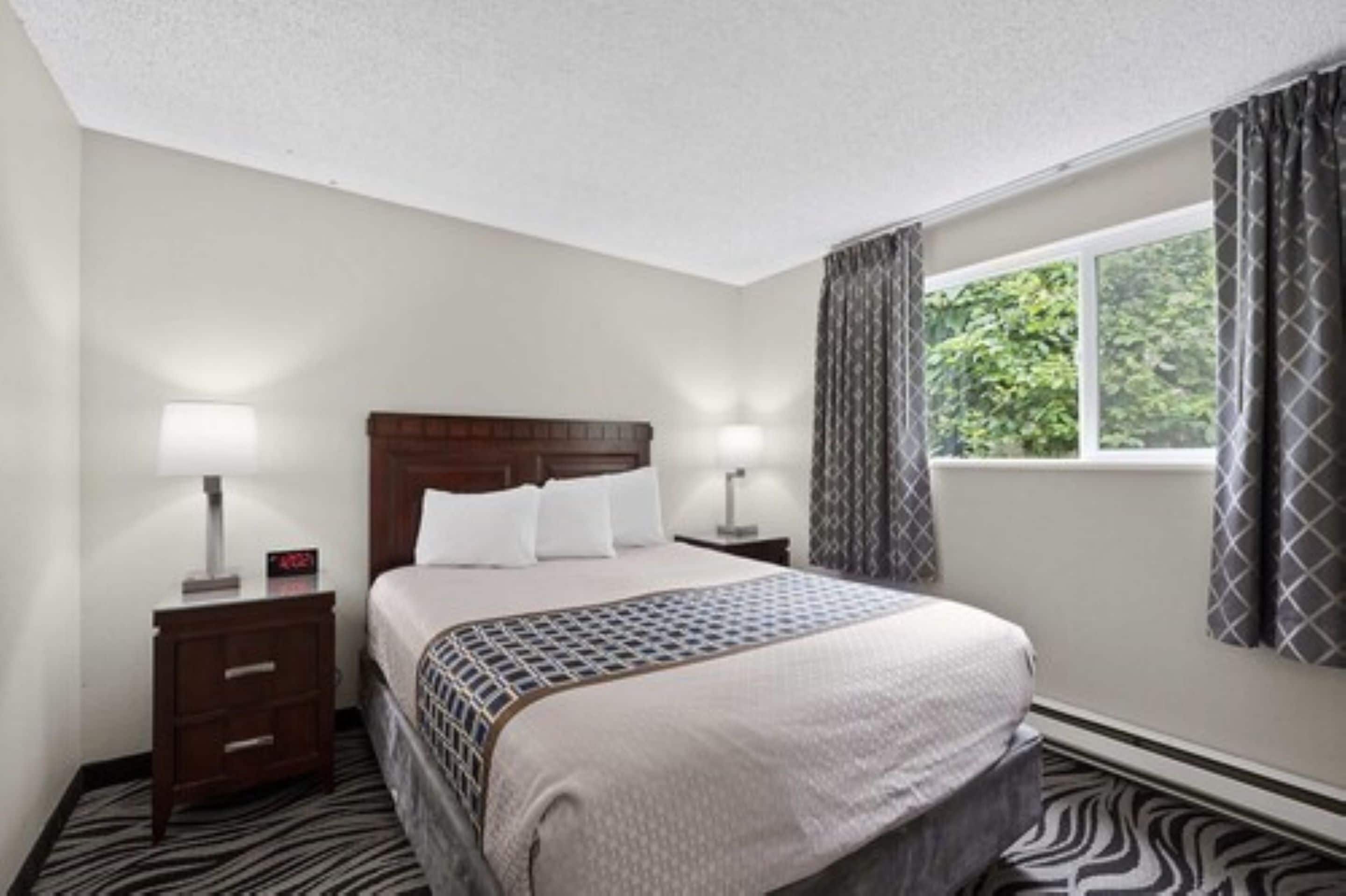 A hotel room with a large bed, two bedside tables, a window with curtains, and a zebra-patterned carpet.