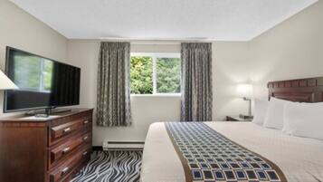 A hotel room with a bed, a TV, a dresser, a window with curtains, and a zebra-patterned rug.