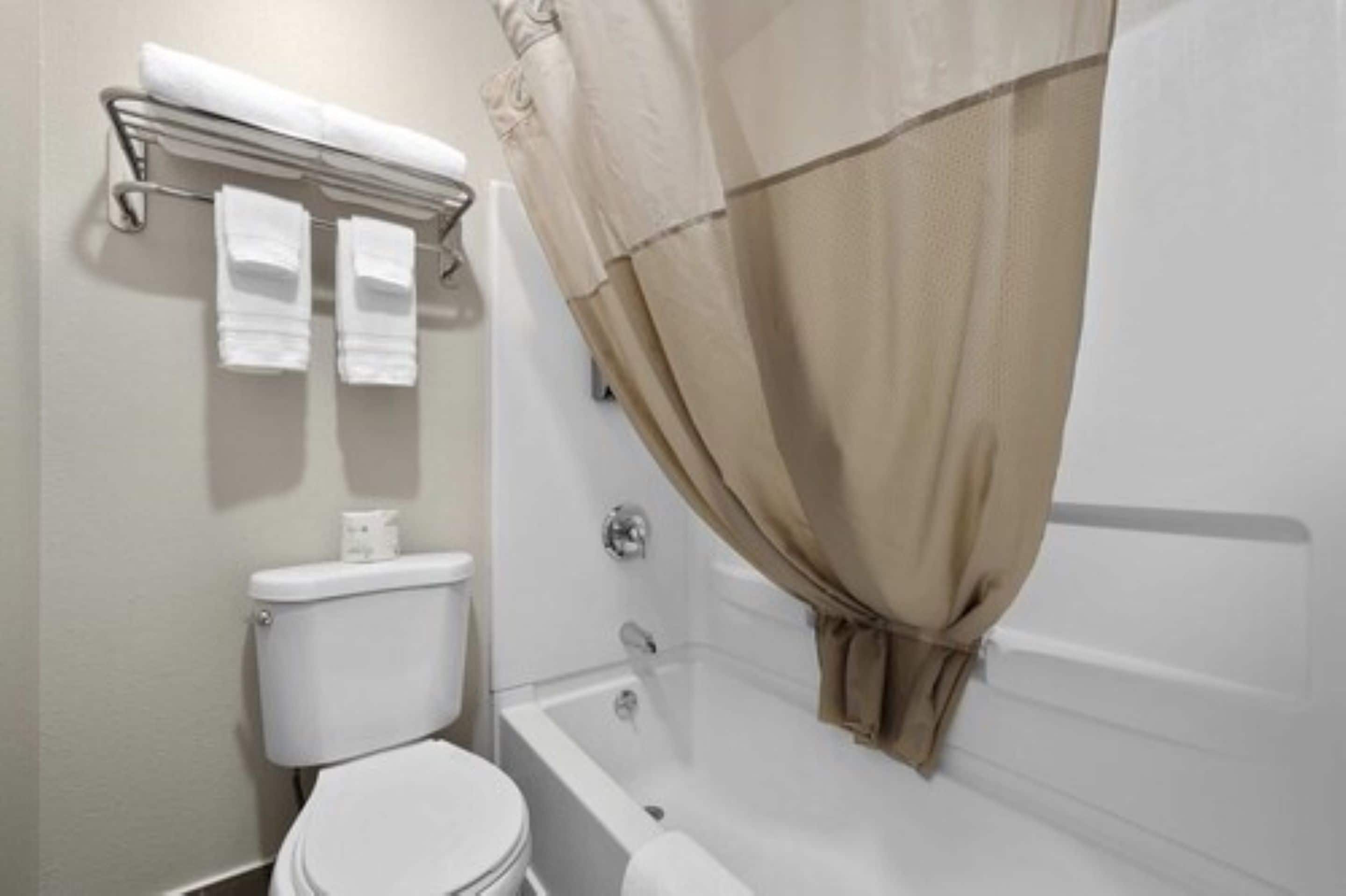 A bathroom with a toilet, a bathtub, and a shower curtain.