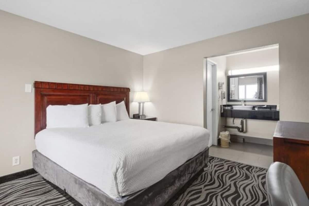 A hotel room with a large bed, a wooden headboard, a nightstand with a lamp, a zebra-patterned rug, and a bathroom with a mirror and sink.