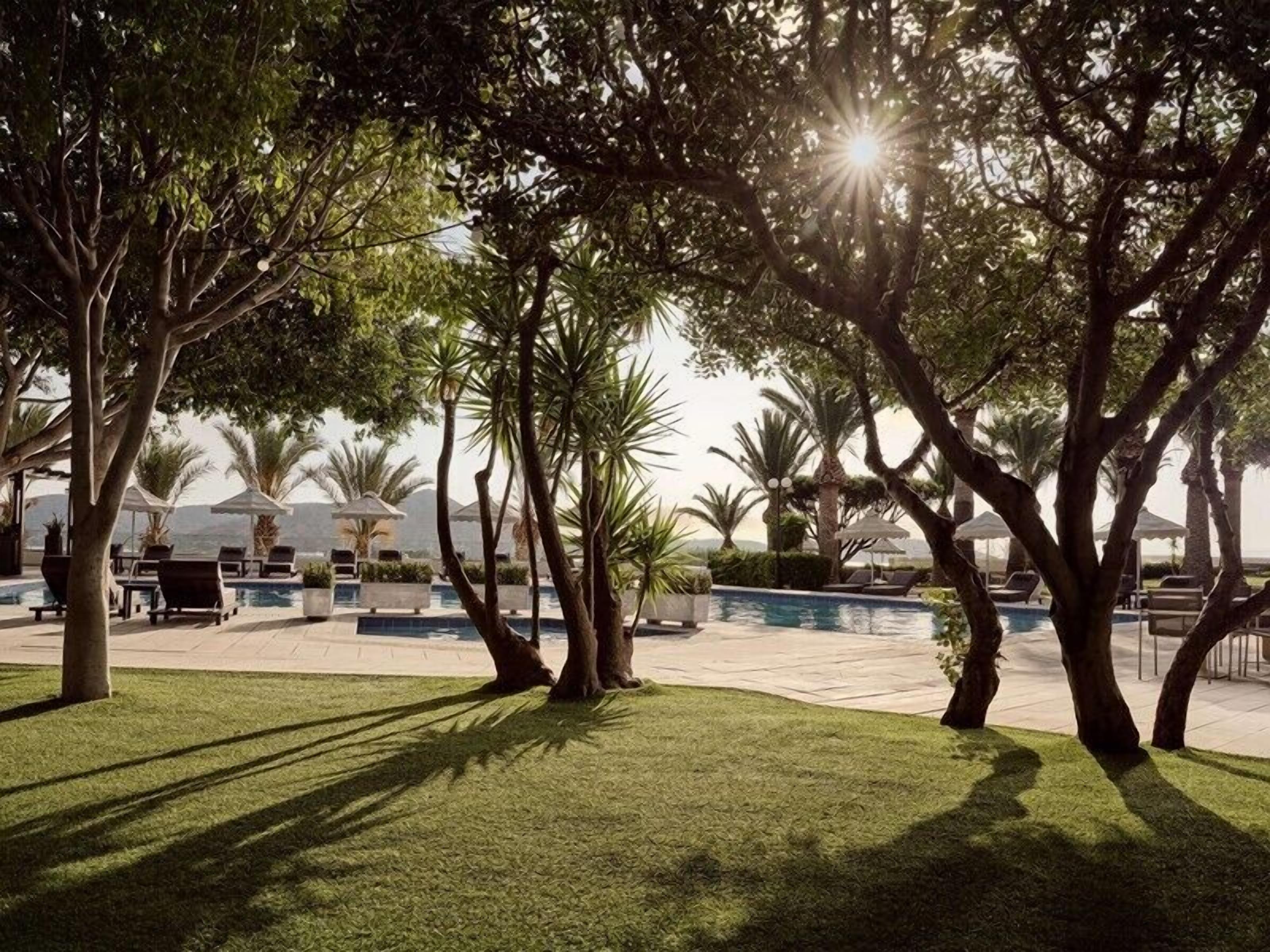 A pool area with lounge chairs and umbrellas, surrounded by trees and a view of the ocean.
