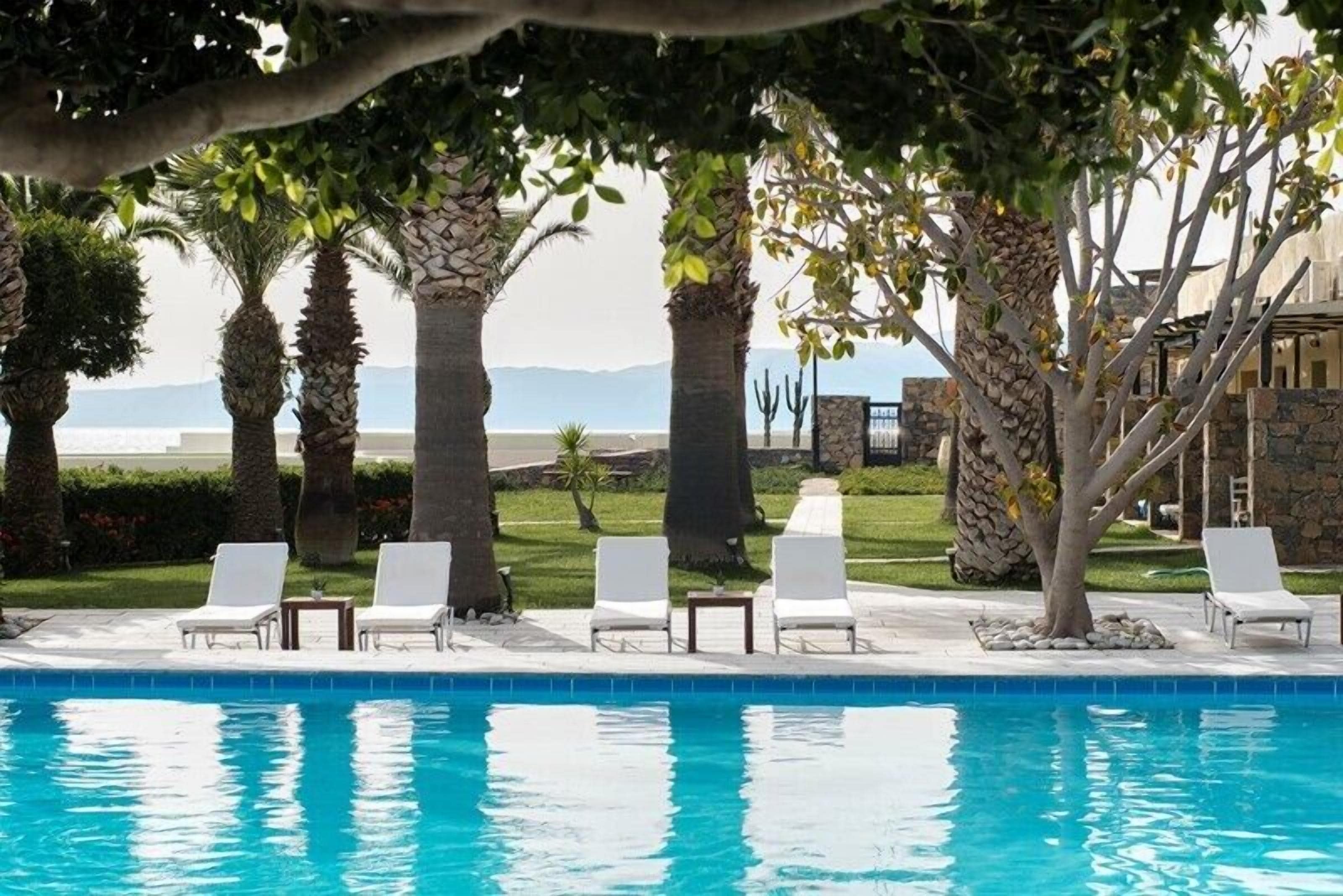 A pool area with lounge chairs and palm trees.
