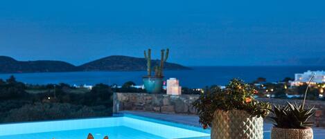 A pool area with decorative fish, potted plants, and a view of the sea and hills.