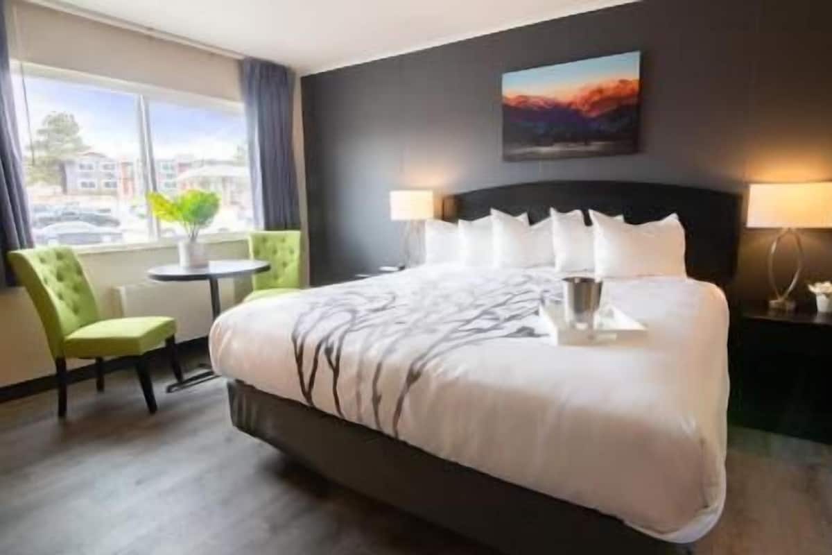 Premium bedding, down comforters, pillowtop beds, desk