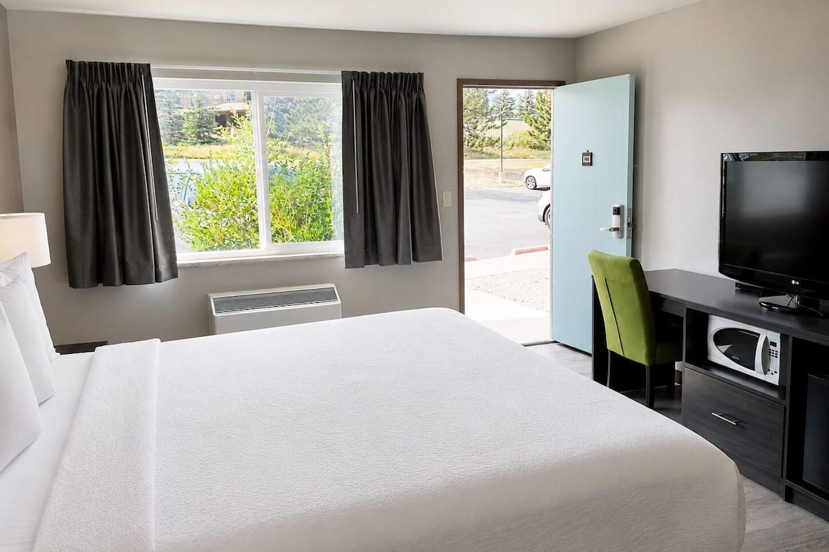 A hotel room with a bed, a desk with a TV, a chair, a microwave, and a view of greenery outside.