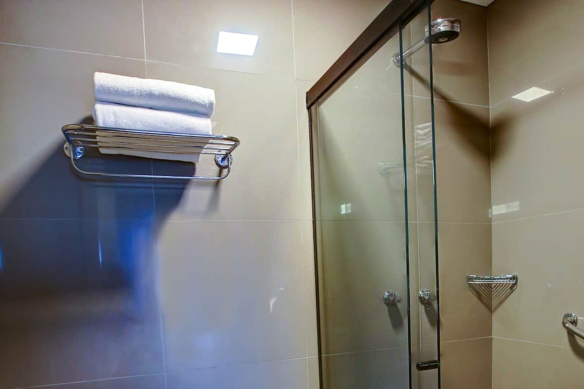 Shower, hair dryer, towels