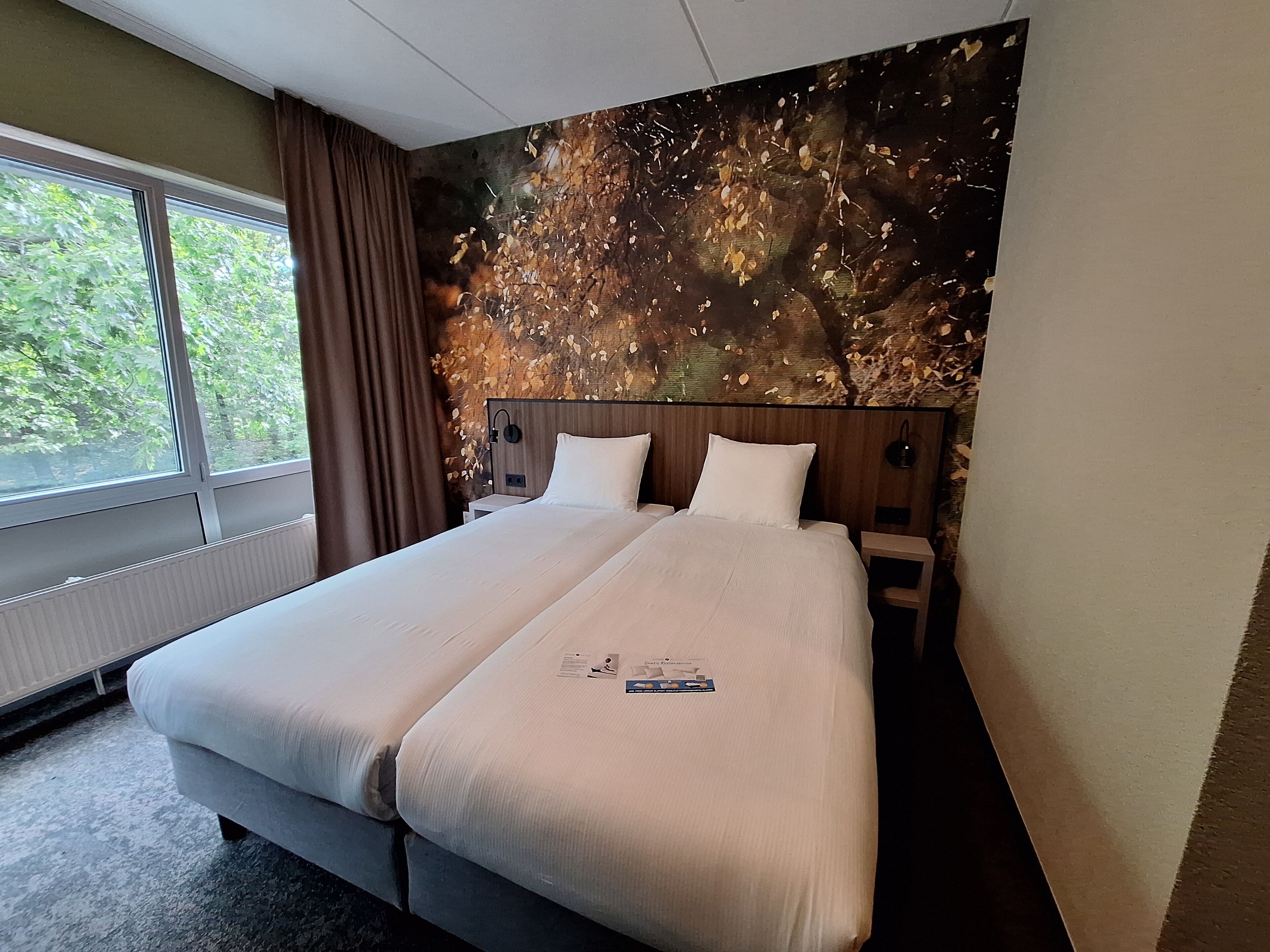 Luxury Double Room | Down comforters, desk, free WiFi, bed sheets
