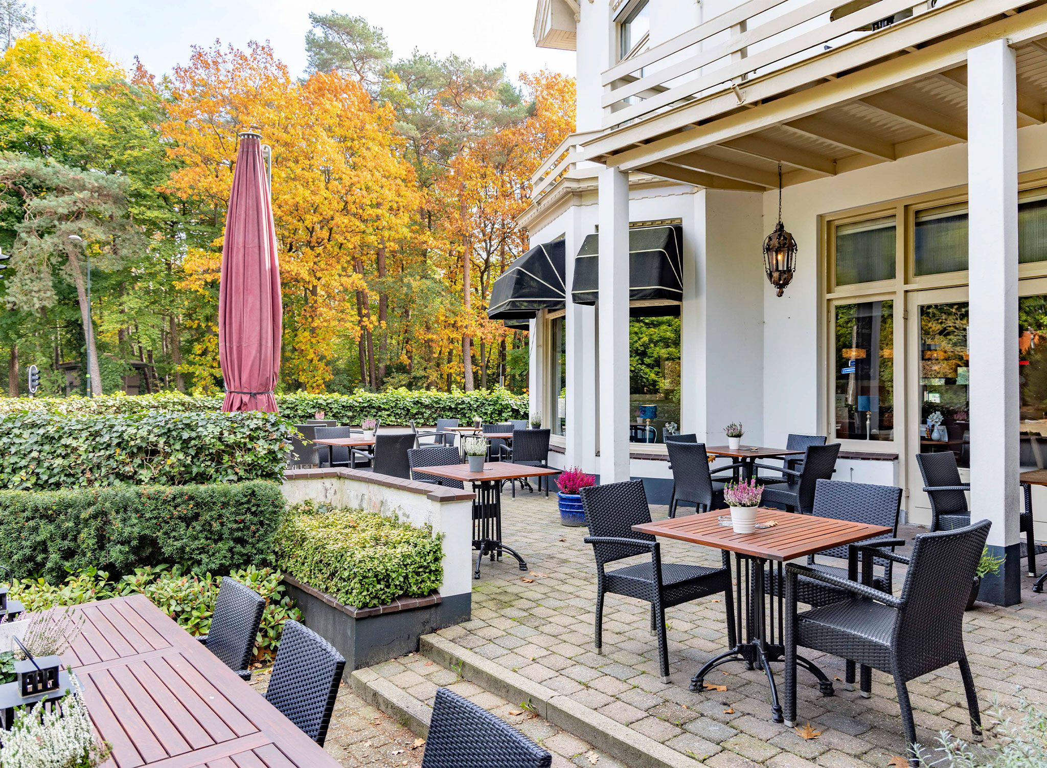 An outdoor patio area with tables and chairs, surrounded by a hedge and trees with autumn foliage.