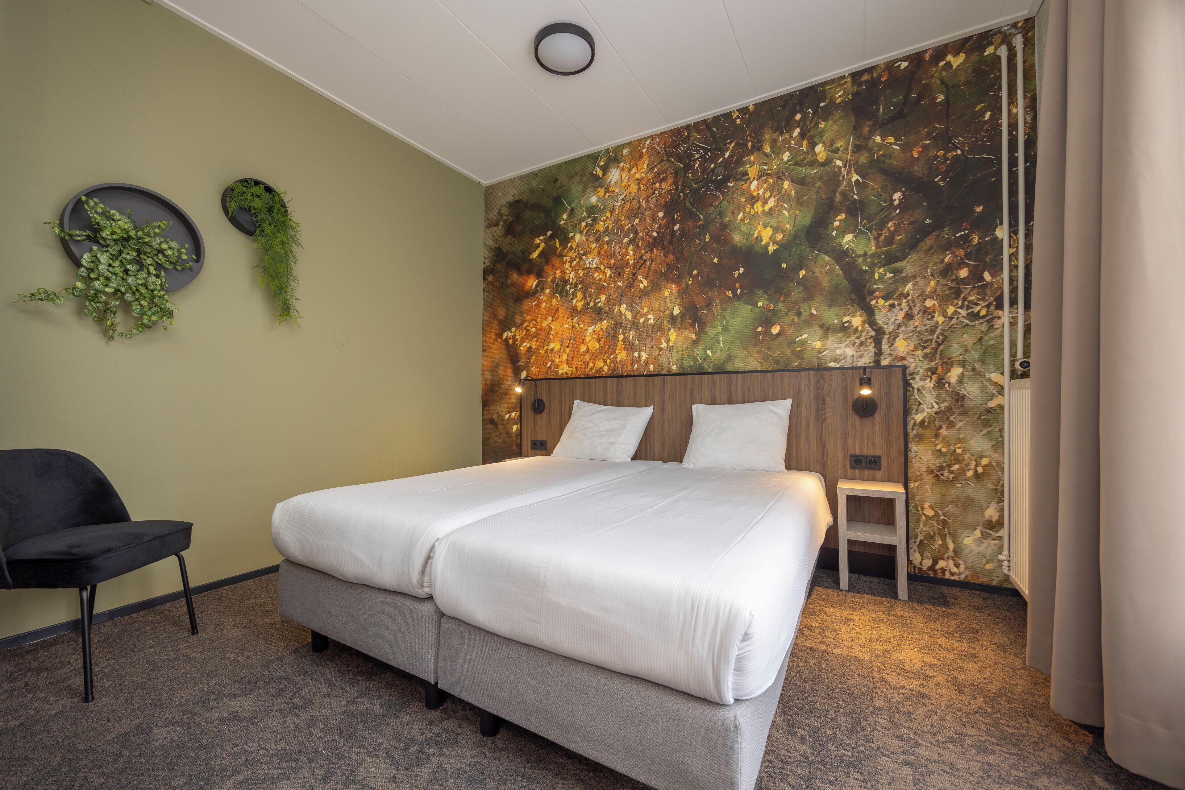 Suite | Down comforters, desk, free WiFi, bed sheets