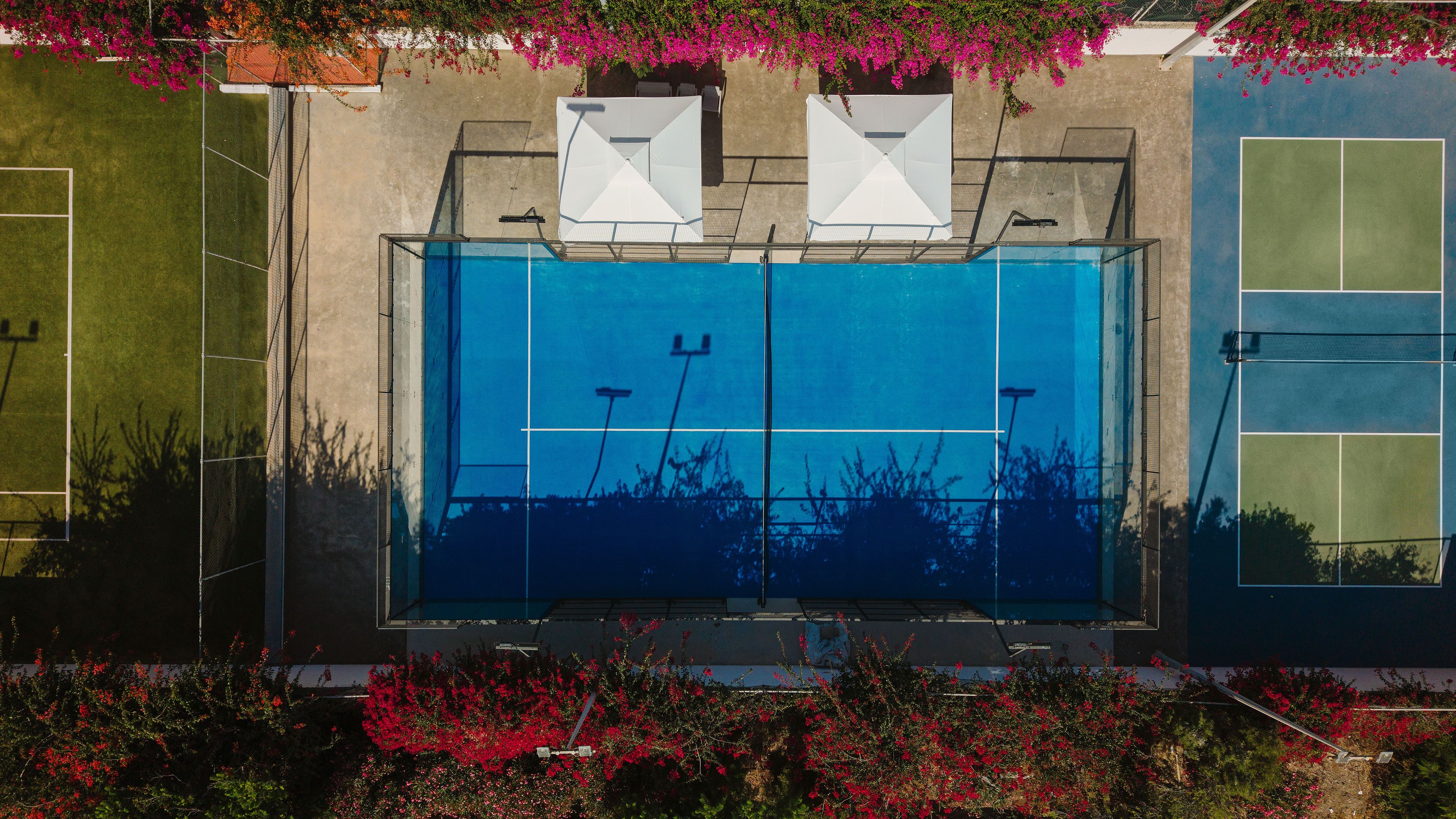 A swimming pool with a clear view of the water, surrounded by a concrete deck and bordered by lush greenery.