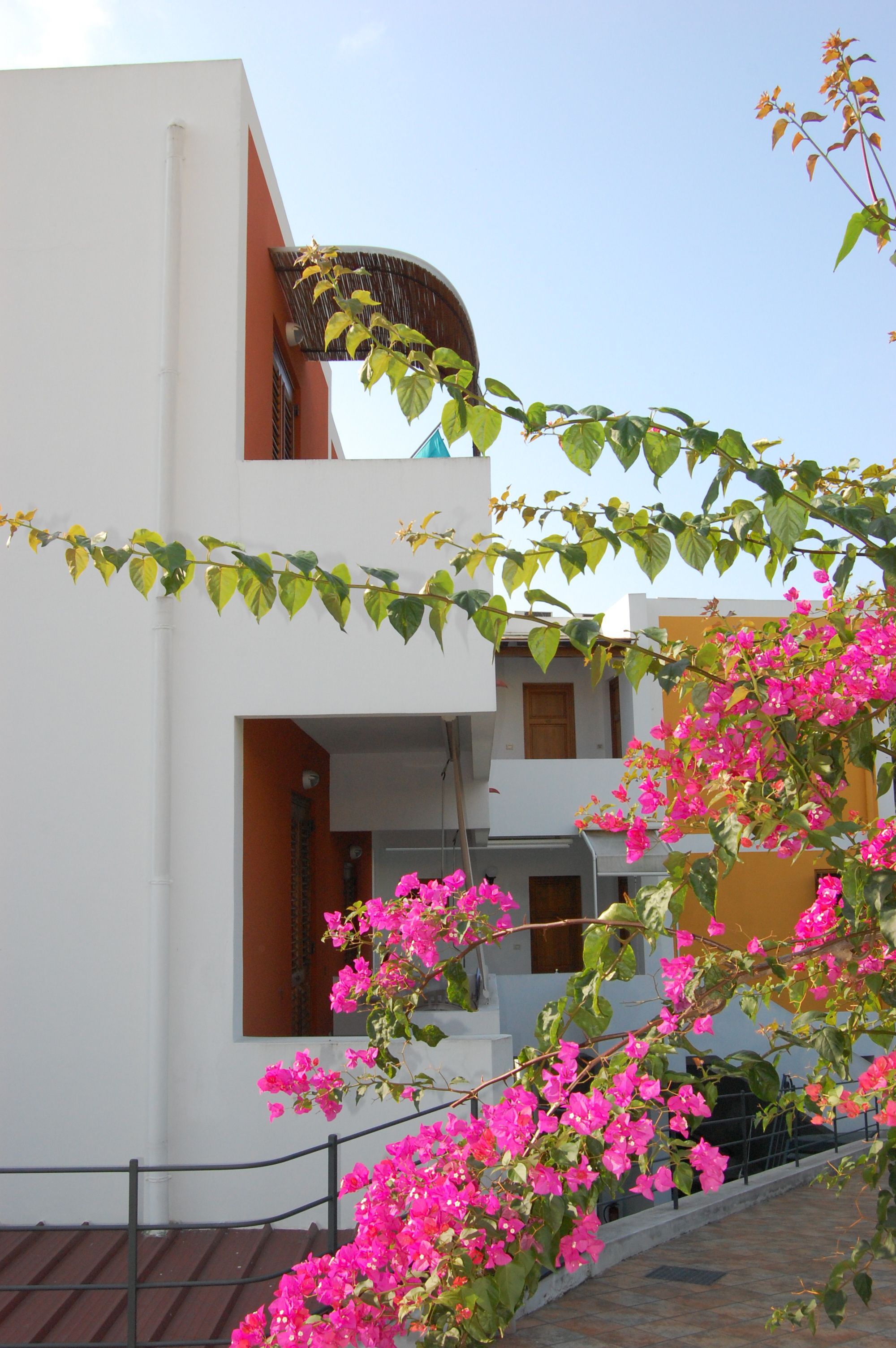 A two-story building with a white facade, a balcony with a wooden railing, and pink bougainvillea flowers in the foreground.