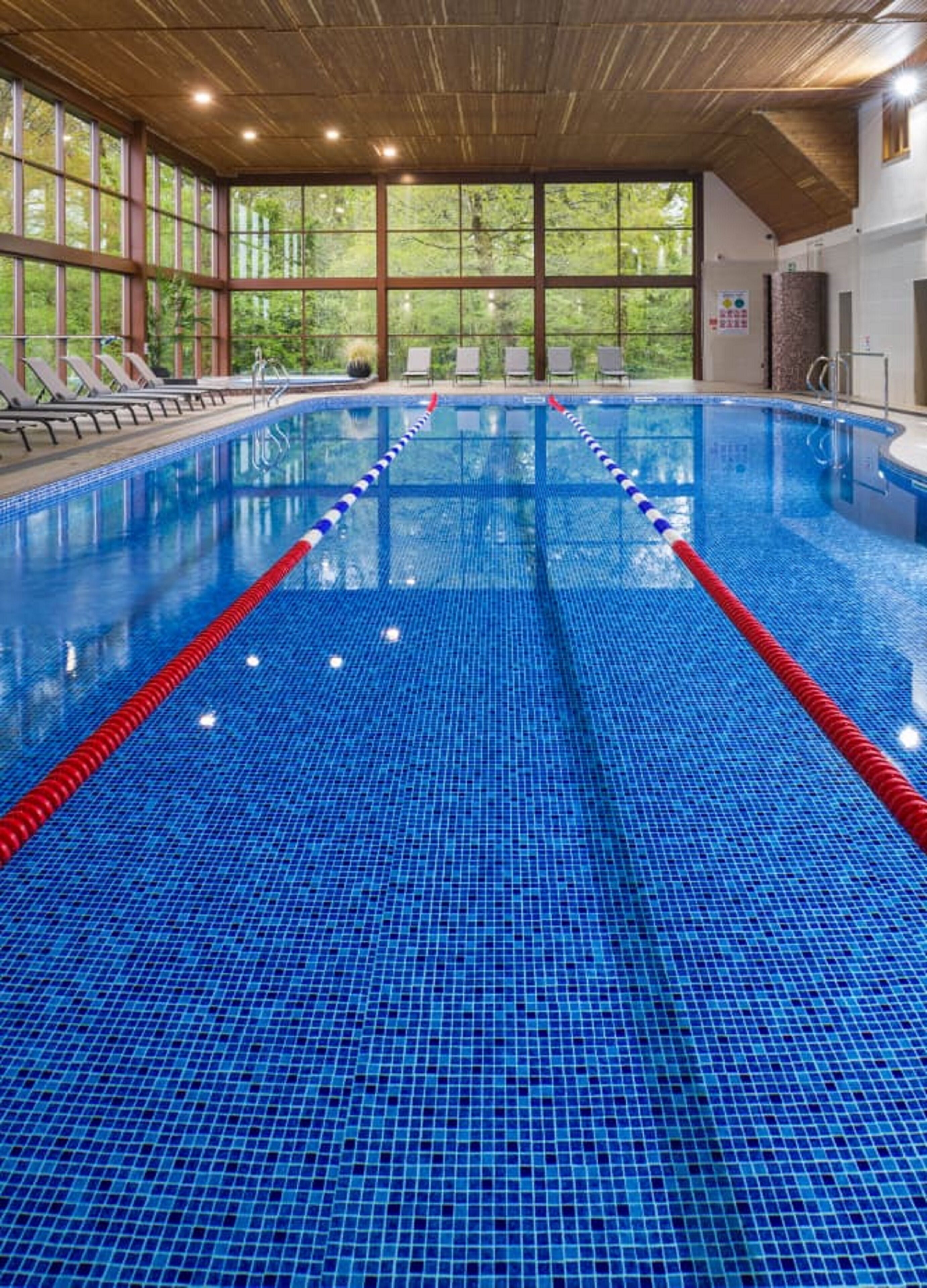 swiss style lodge | 1 bedroom, hypo-allergenic bedding, iron/ironing board, free wifi