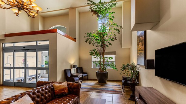 A spacious living area with a leather sofa, a large potted plant, a flat-screen TV, and a wooden coffee table. - Best Western Rose Quartz Inn (Chester)