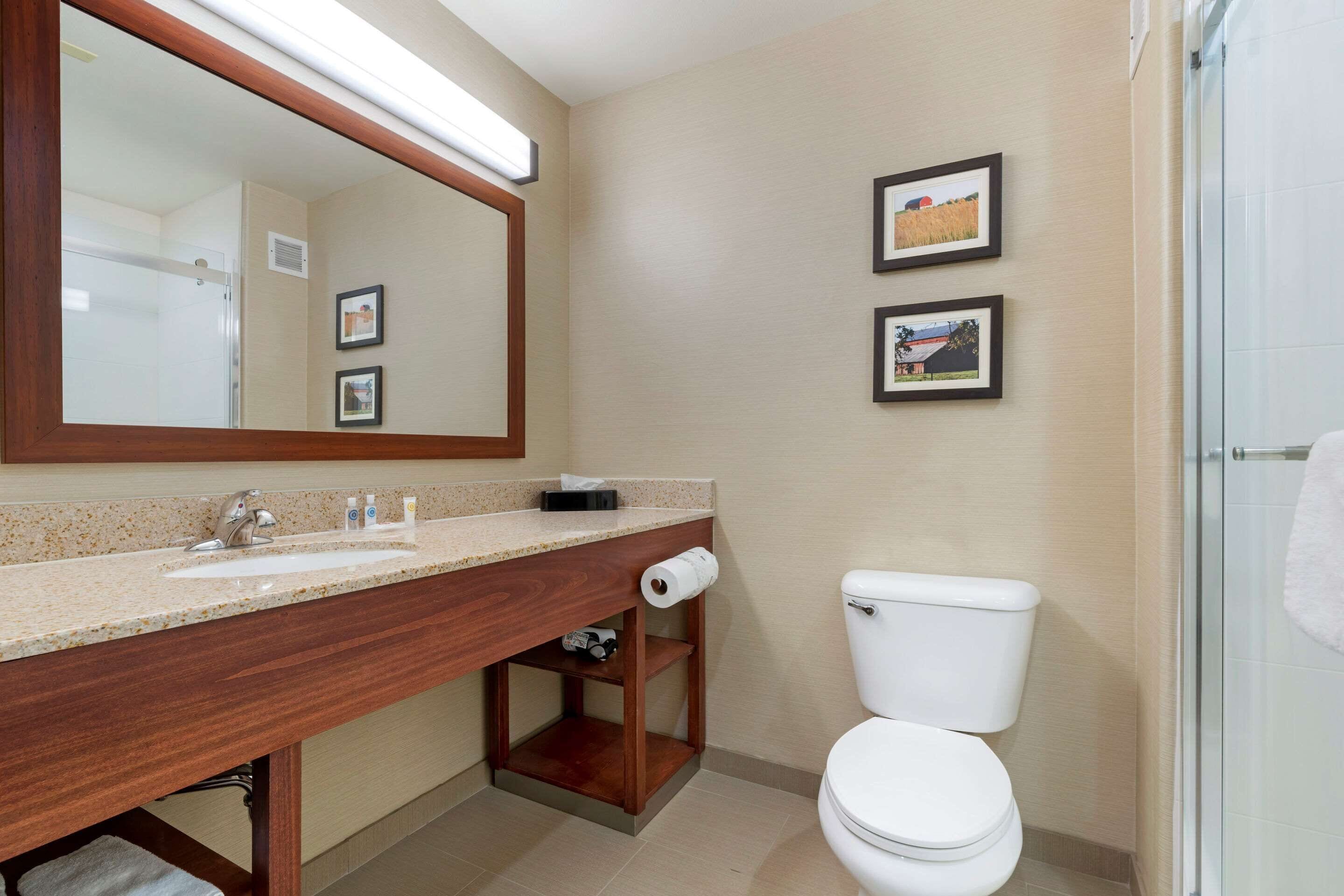 A bathroom with a wooden vanity, a large mirror, a toilet, and framed pictures on the wall.