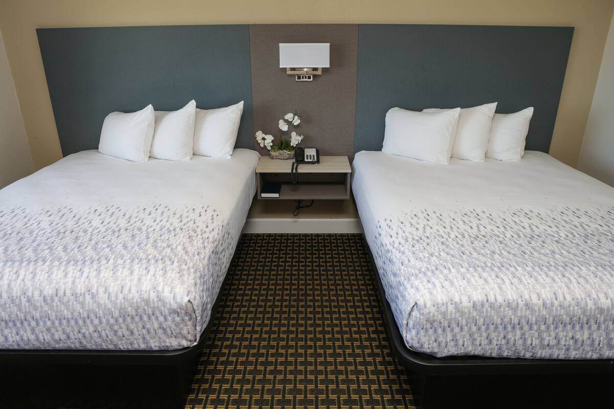 Habitación de hotel con dos camas, una mesita de noche con lámpara, teléfono y una planta pequeña.