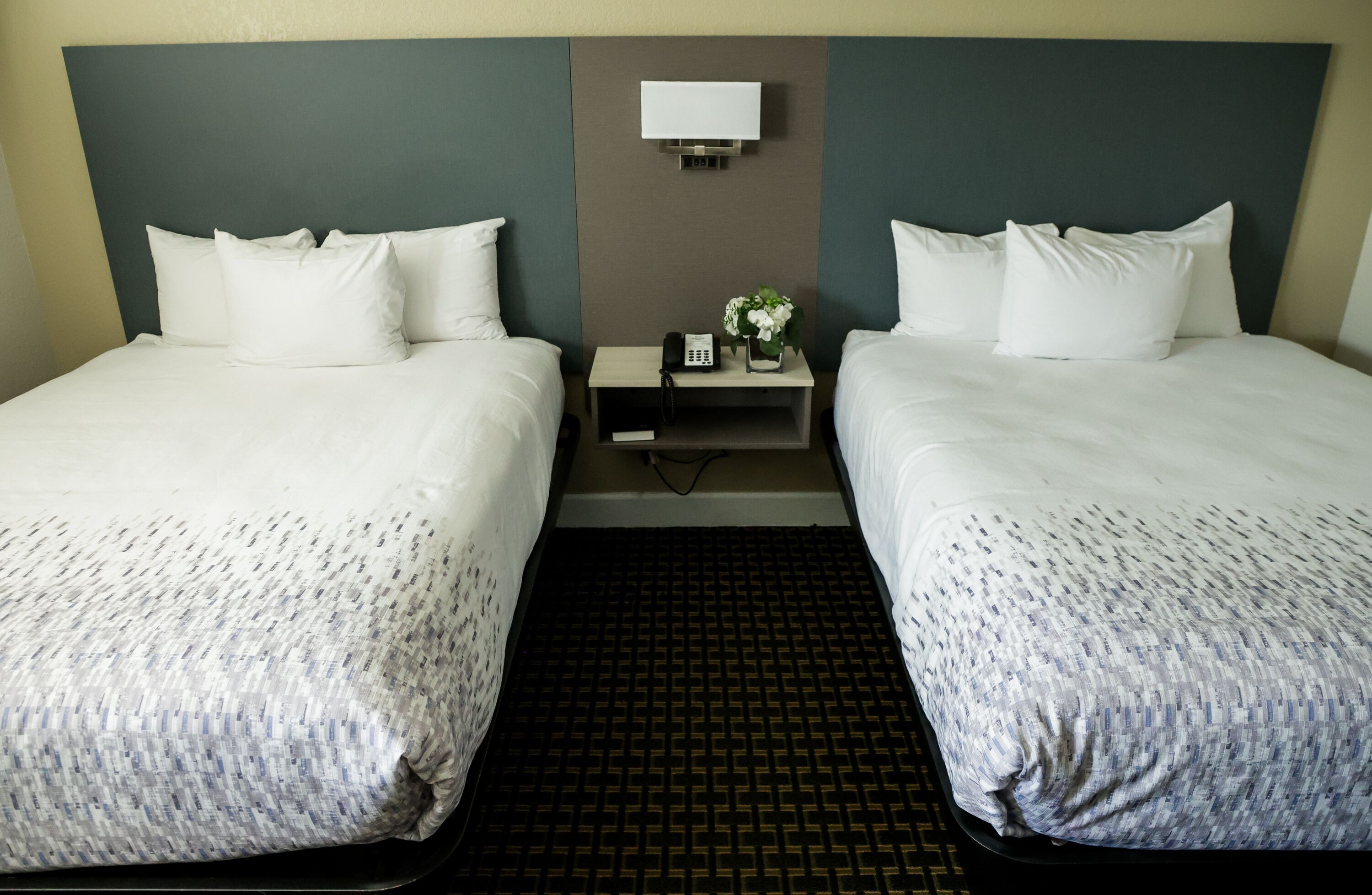 A hotel room with two beds, a nightstand with a phone and a small plant, and a wall-mounted light.