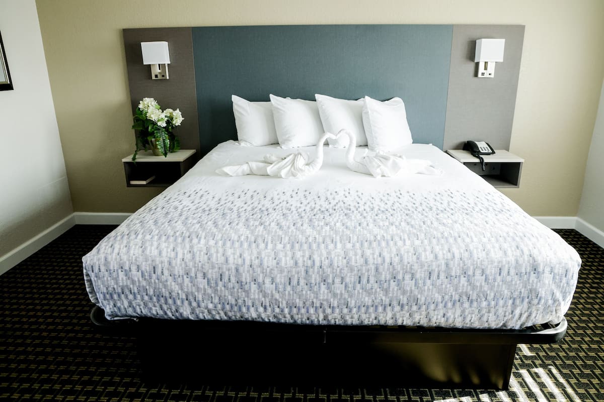 Habitación estándar, 1 cama de matrimonio grande | Servicio de la habitación