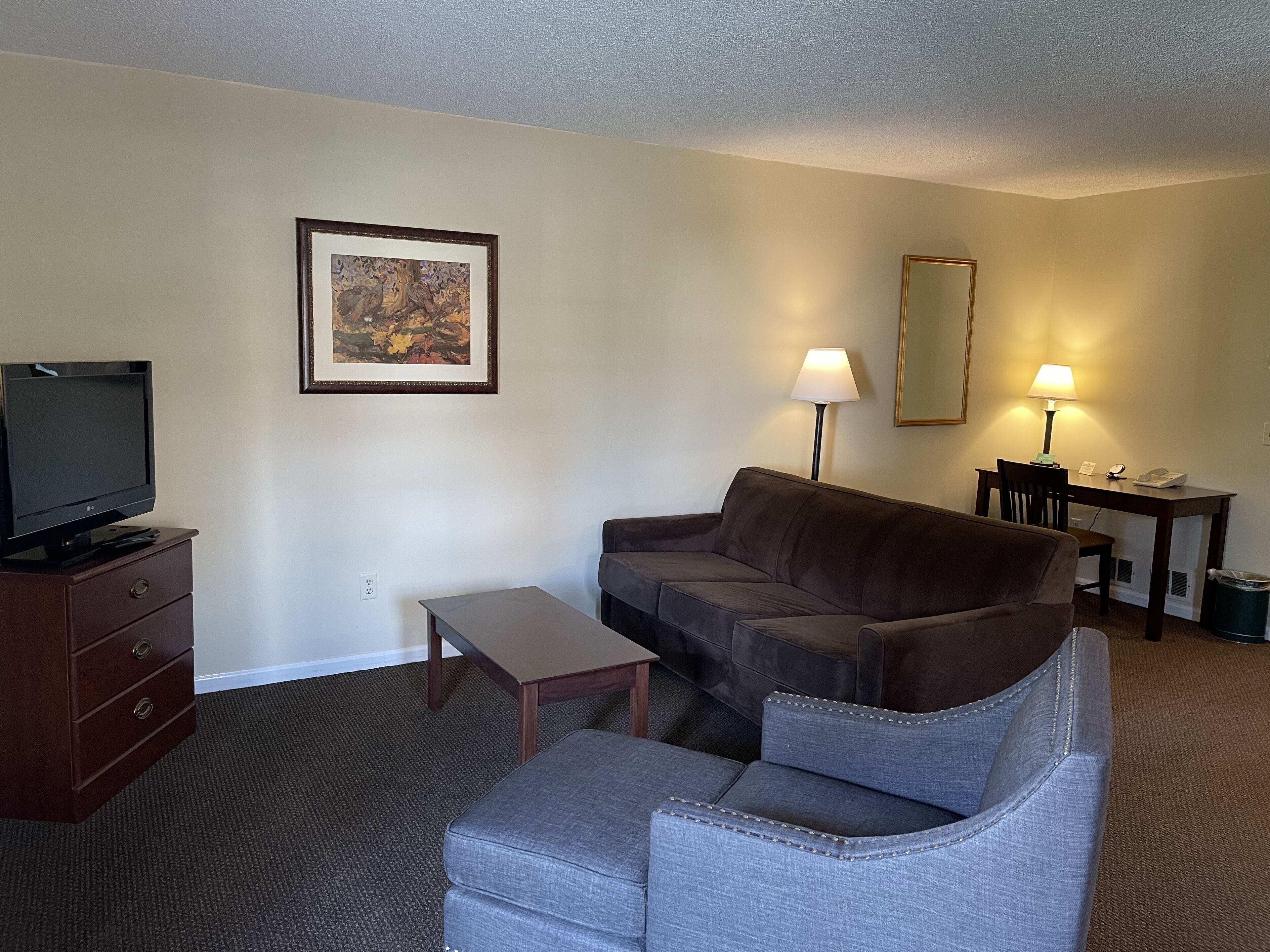 A living room with a brown sofa, a grey armchair, a small table, a TV on a wooden cabinet, a framed picture on the wall, and a desk with a lamp and phone.