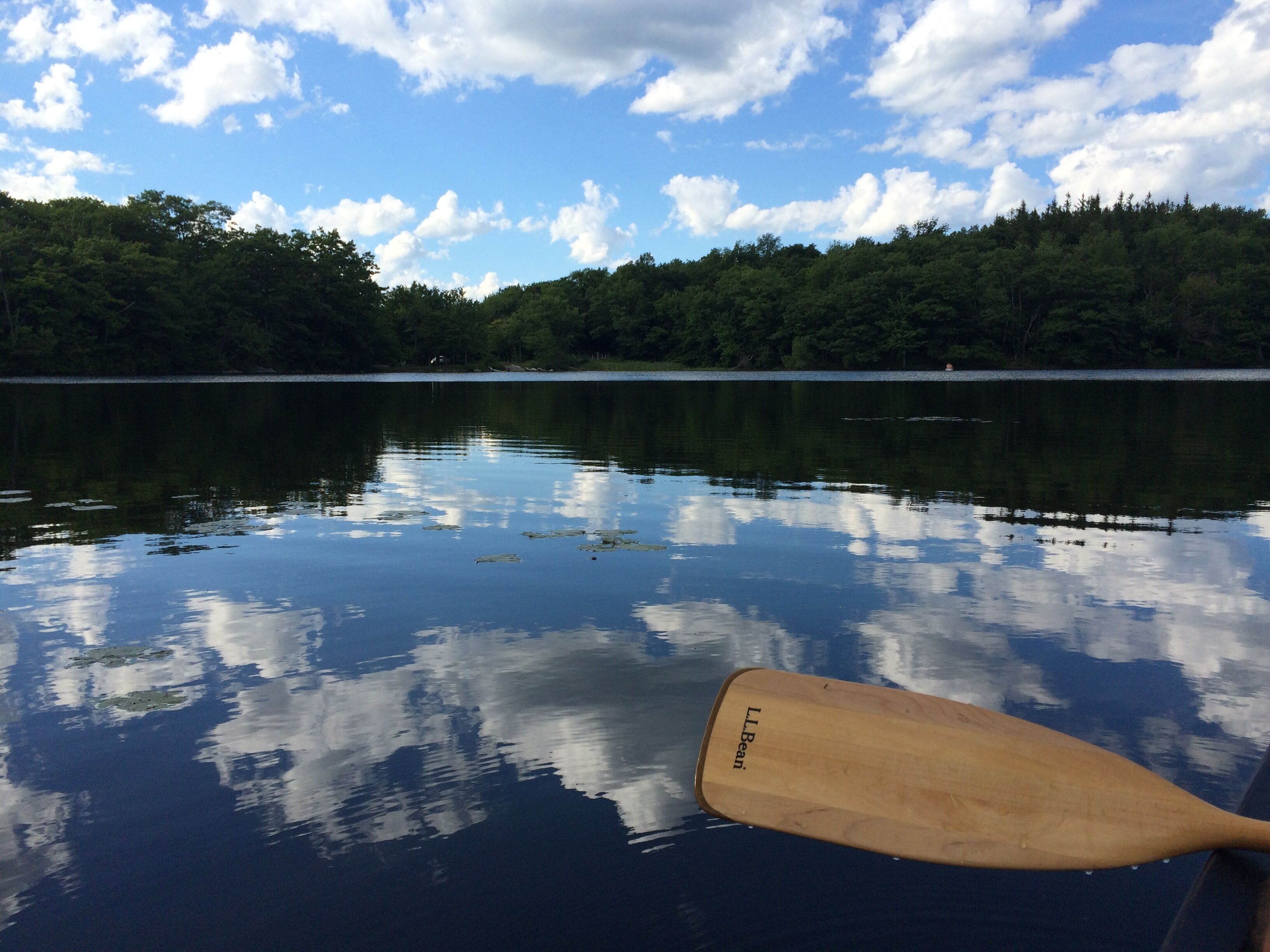 A wooden paddle on calm water reflecting trees and sky.