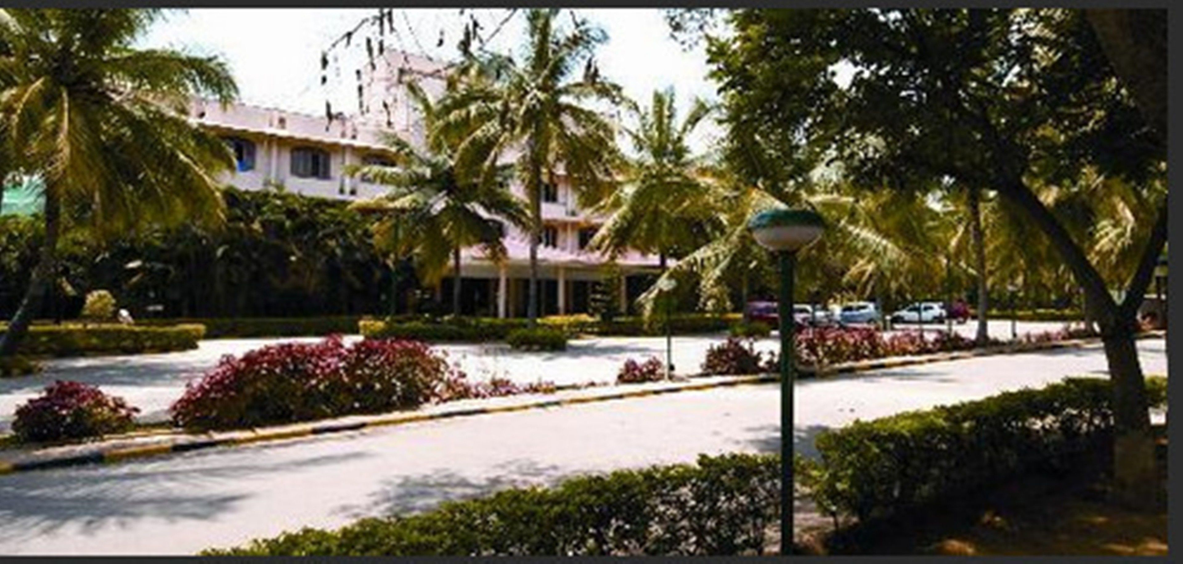 A hotel with a parking lot, palm trees, and a well-maintained garden.