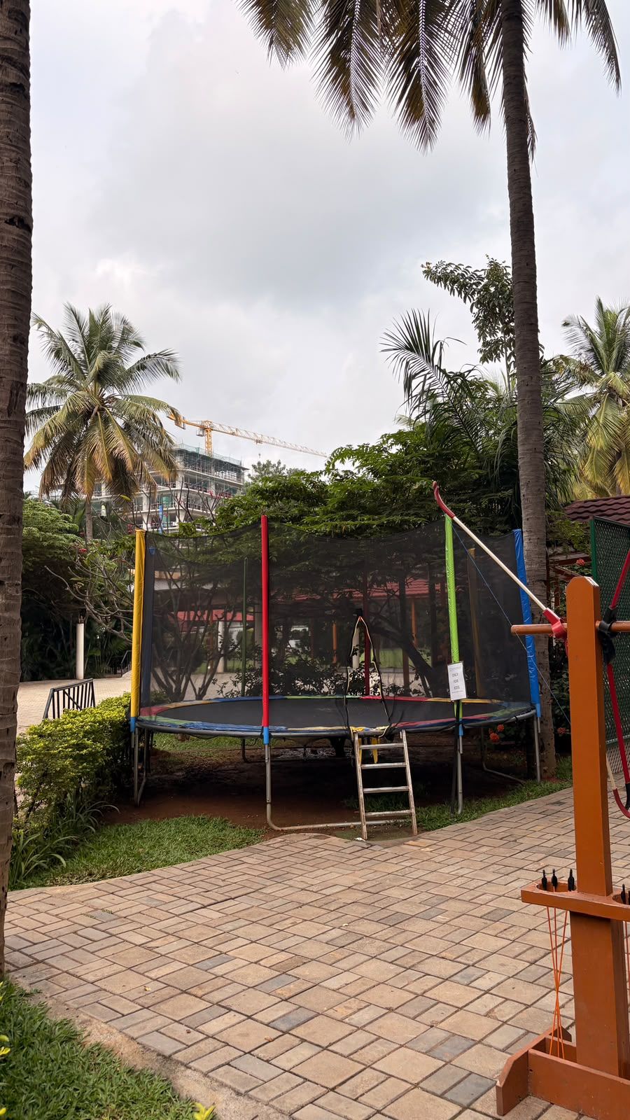 Un trampolín con red de seguridad, rodeado de palmeras y un camino de ladrillos.