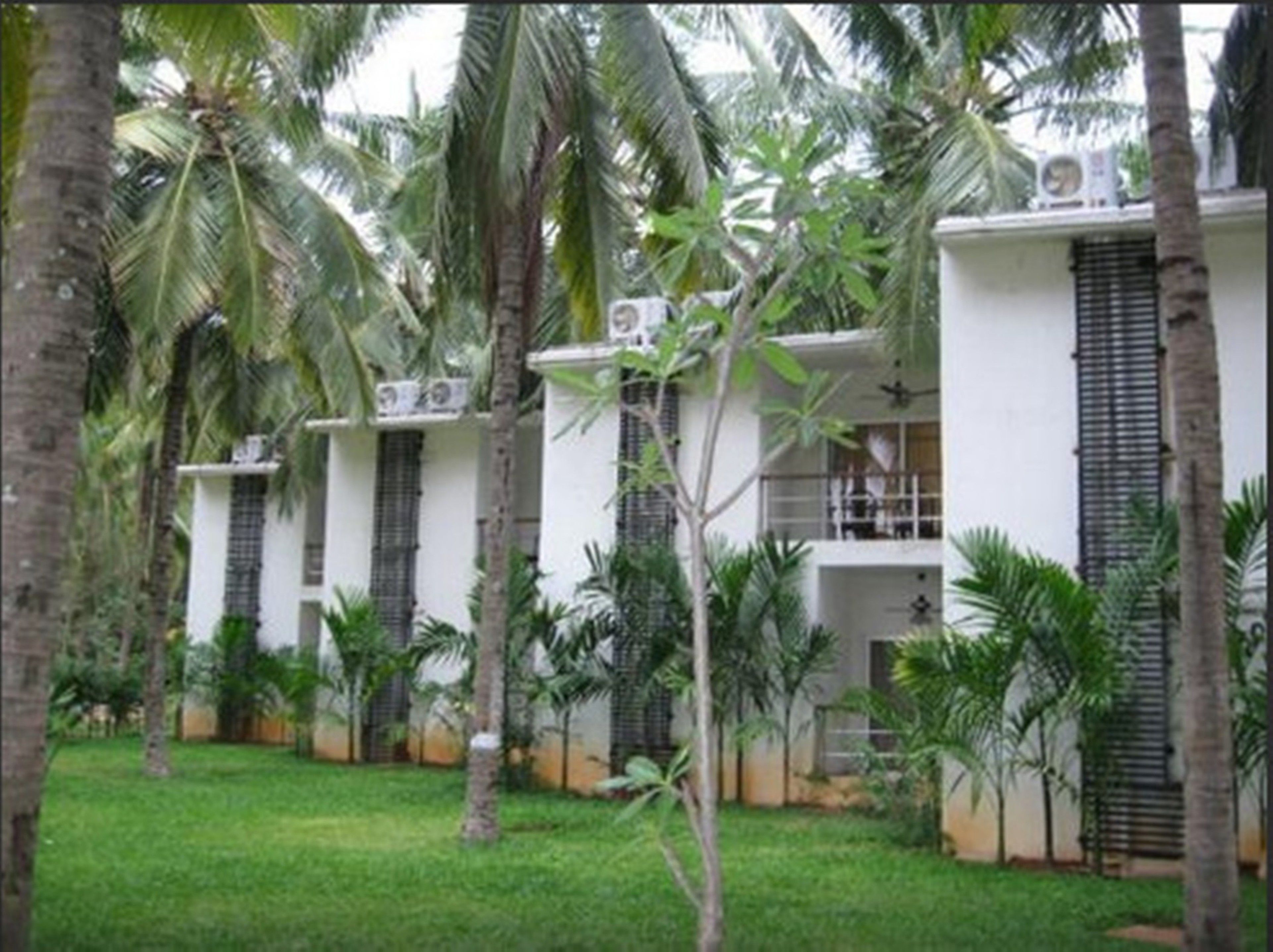 A row of white buildings with black shutters, surrounded by palm trees and greenery.
